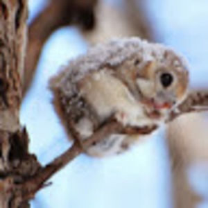 Meet your Posher, Tingwei